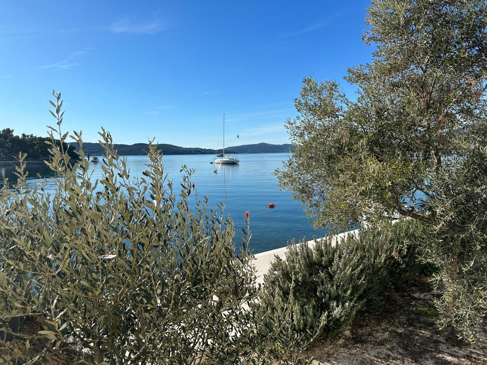 Vila Zrina - Apartmani Trogir Exteriör bild